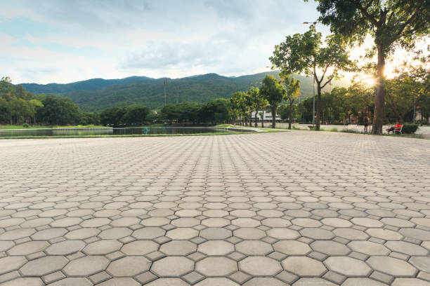 Best Professional Driveway Pavers  in Forest Glen, MD